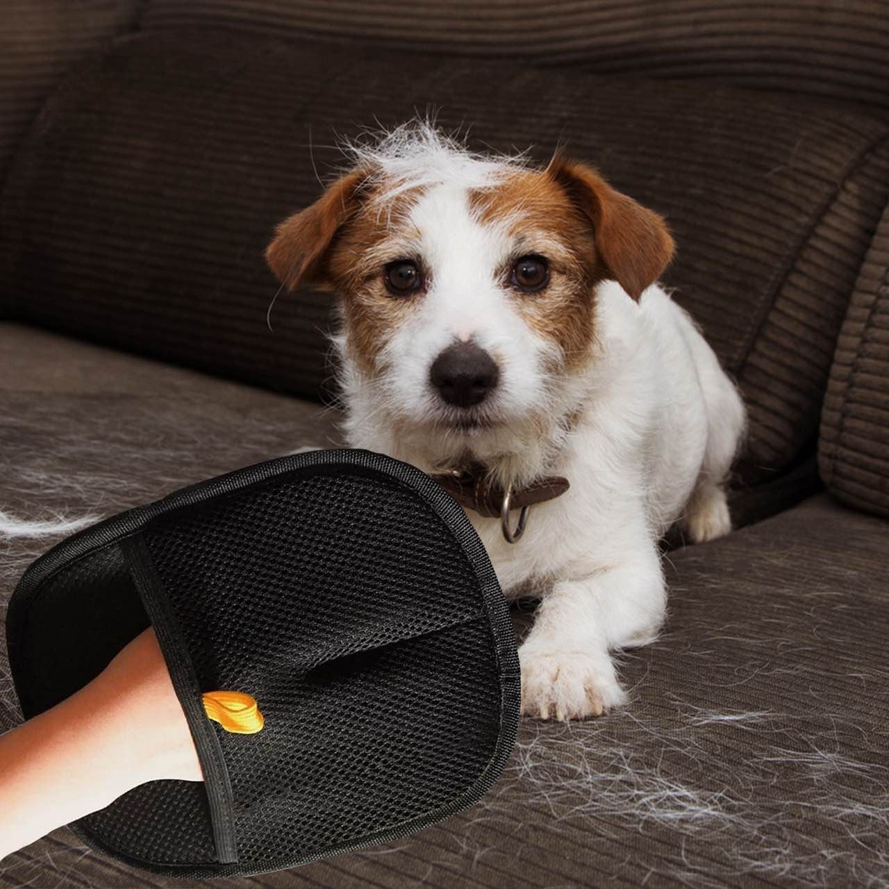 GroomyGlove – Antistatic Gloves | 1+2 FREE