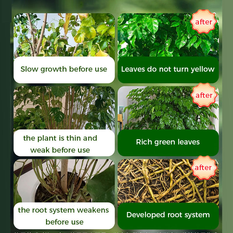 GreenBloom – Fast Root & Flowering Powder | 1+1 FREE