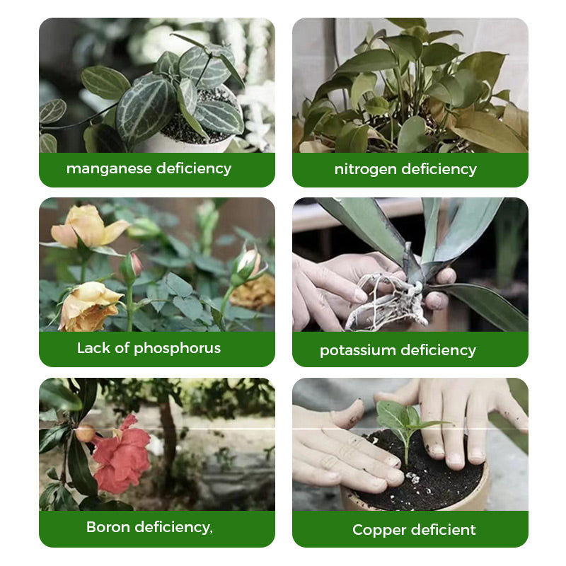 GreenBloom – Fast Root & Flowering Powder | 1+1 FREE