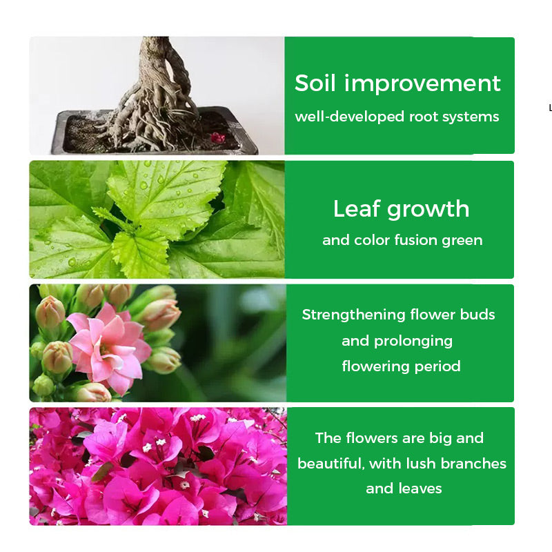 GreenBloom – Fast Root & Flowering Powder | 1+1 FREE