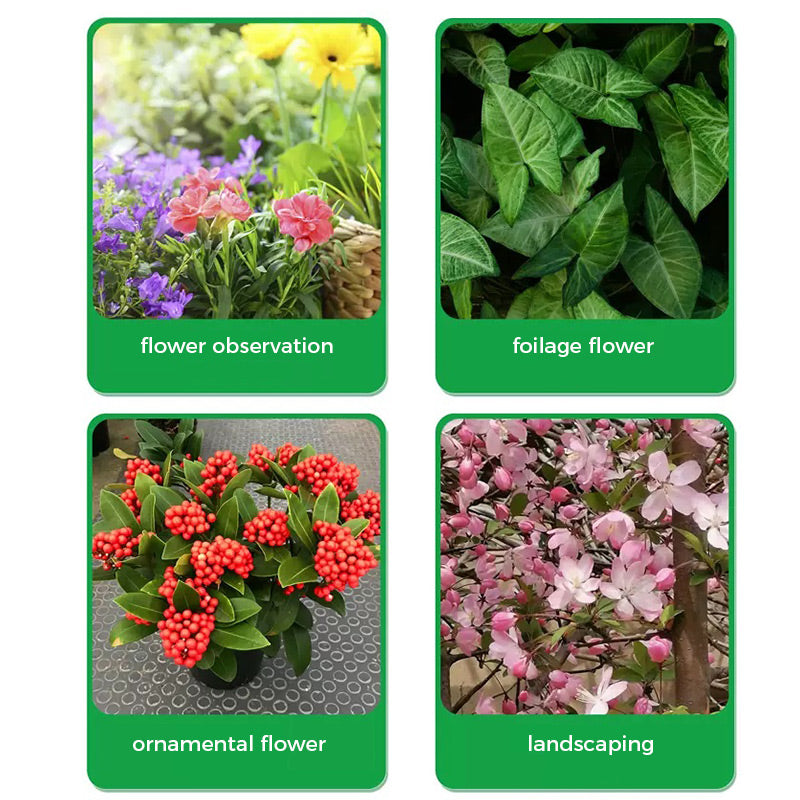 GreenBloom – Fast Root & Flowering Powder | 1+1 FREE