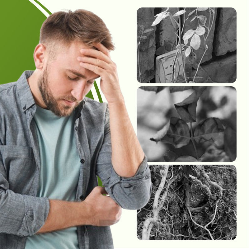 PlantShield™ 130ml Soluble Plant Fertilizer with Disease Defense | 1+1 FREE