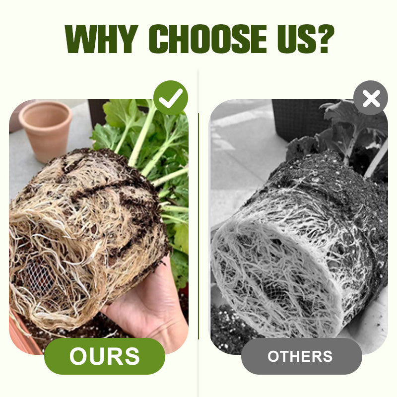 PlantShield™ 130ml Soluble Plant Fertilizer with Disease Defense | 1+1 FREE