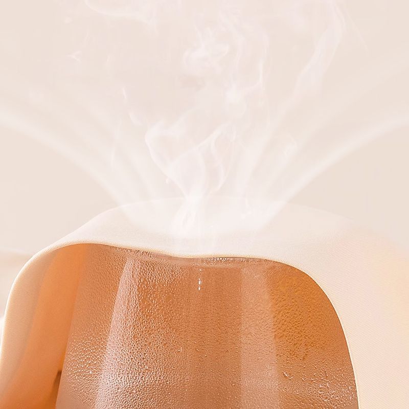 Livia – High-waisted ice silk underwear | Buy 1, get 1 FREE