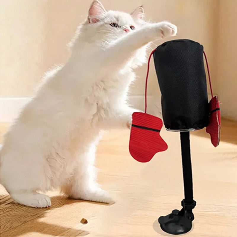 PawPlay – Interactive punching bag for cats