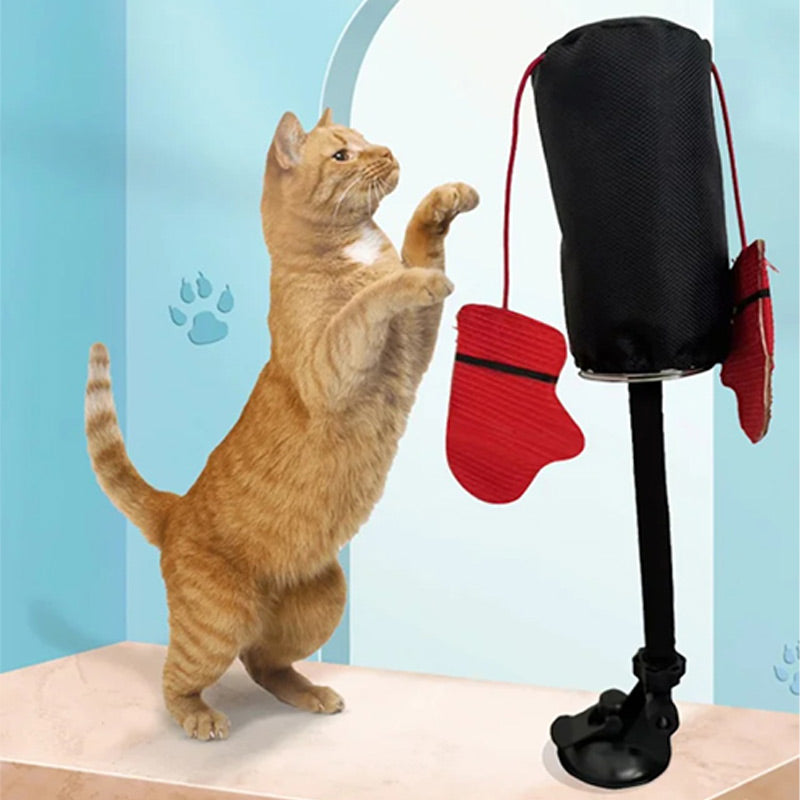 PawPlay – Interactive punching bag for cats