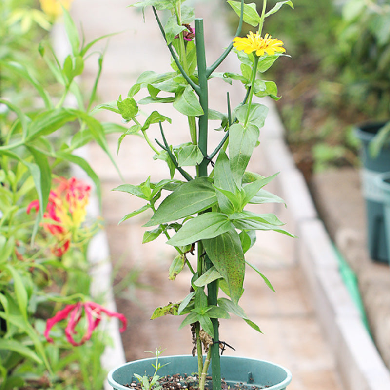 GreenGrow – Artificial Plant Support