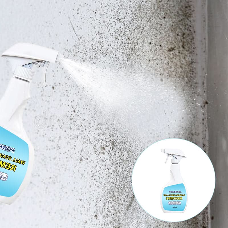 PowerClean – Stain and mold remover for walls