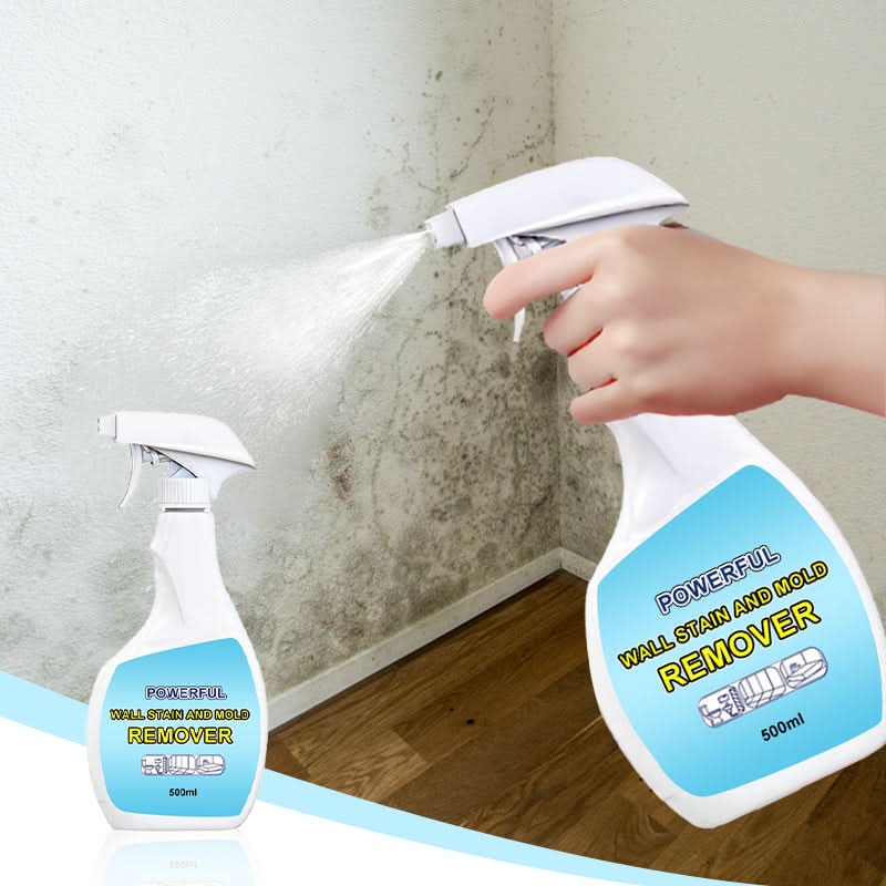 PowerClean – Stain and mold remover for walls