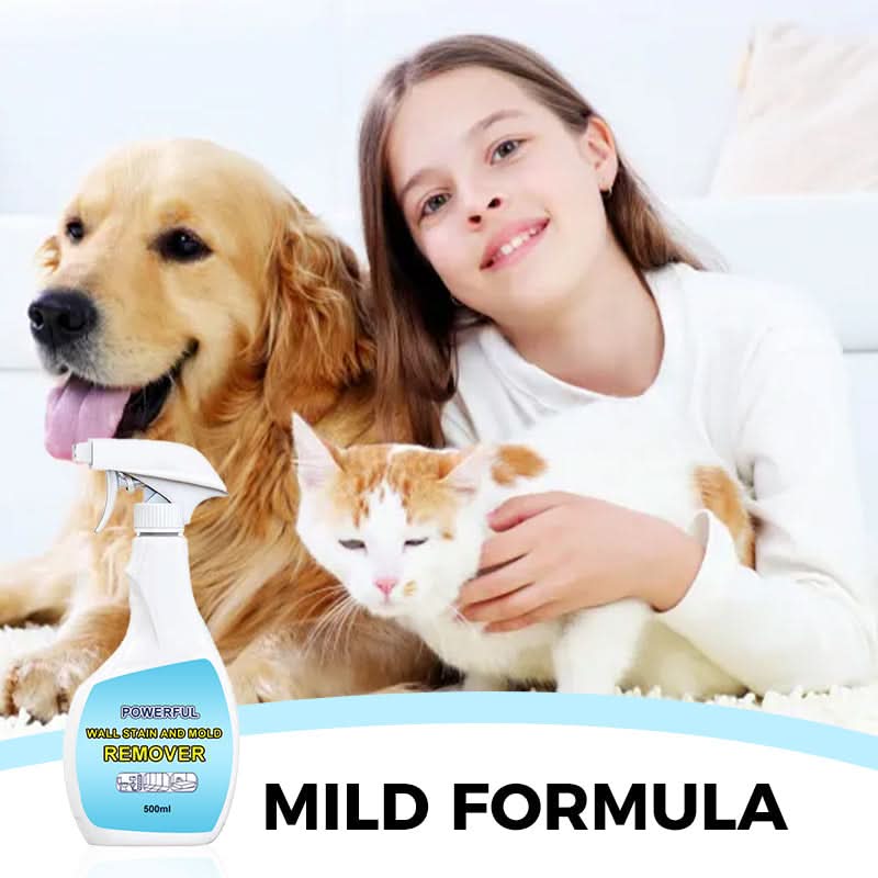 PowerClean – Stain and mold remover for walls