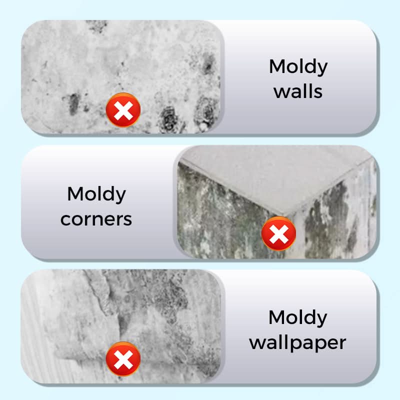 PowerClean – Stain and mold remover for walls