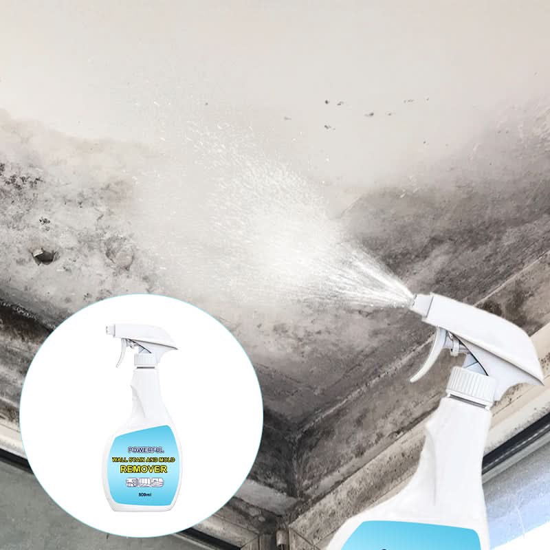 PowerClean – Stain and mold remover for walls