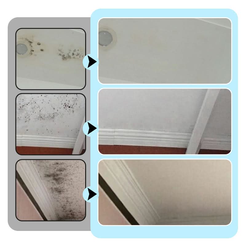 PowerClean – Stain and mold remover for walls