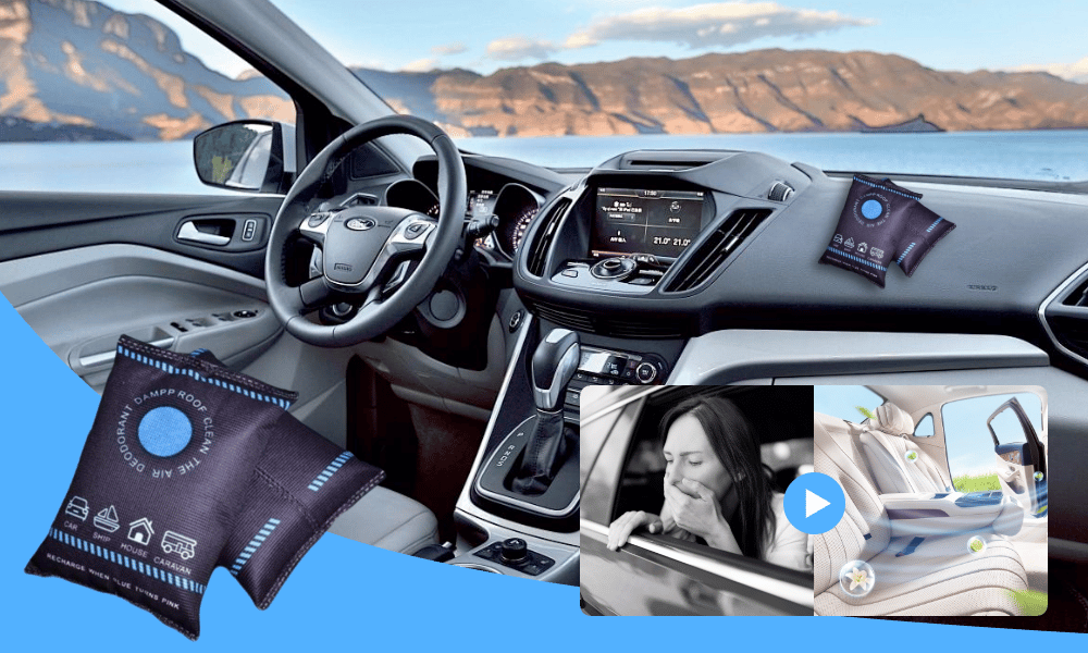 DrySense – Visible Moisture Protection | 1+1 FREE